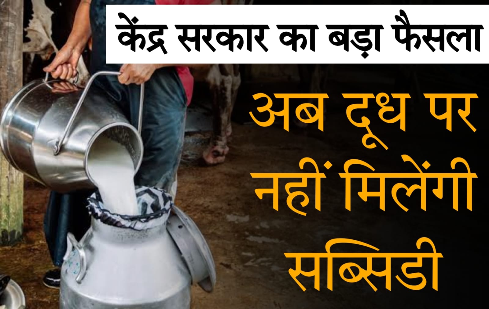 milk subsidy 2025