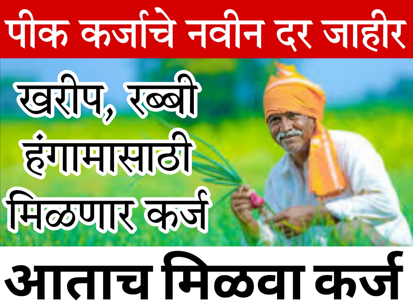 dairy farm loan